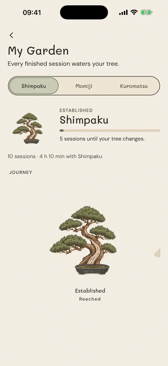 My Garden: a shimpaku at the Established stage, five sessions away from its next change.